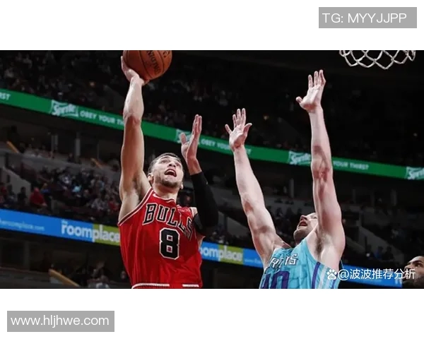 公牛与黄蜂激战全场精彩回放11月24日比赛精彩瞬间回顾